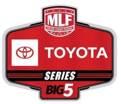 Toyota-removebg-preview